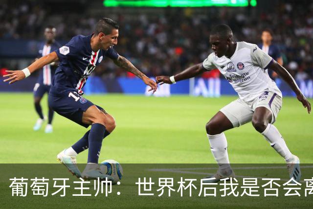 葡萄牙主帅：世界杯后我是否会离任？现在重要的是专注于世界杯